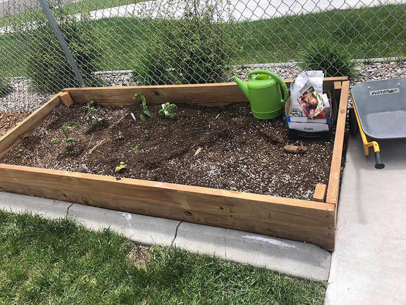 Raised bed garden with small plants inside.