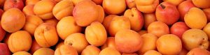 pile of whole apricots