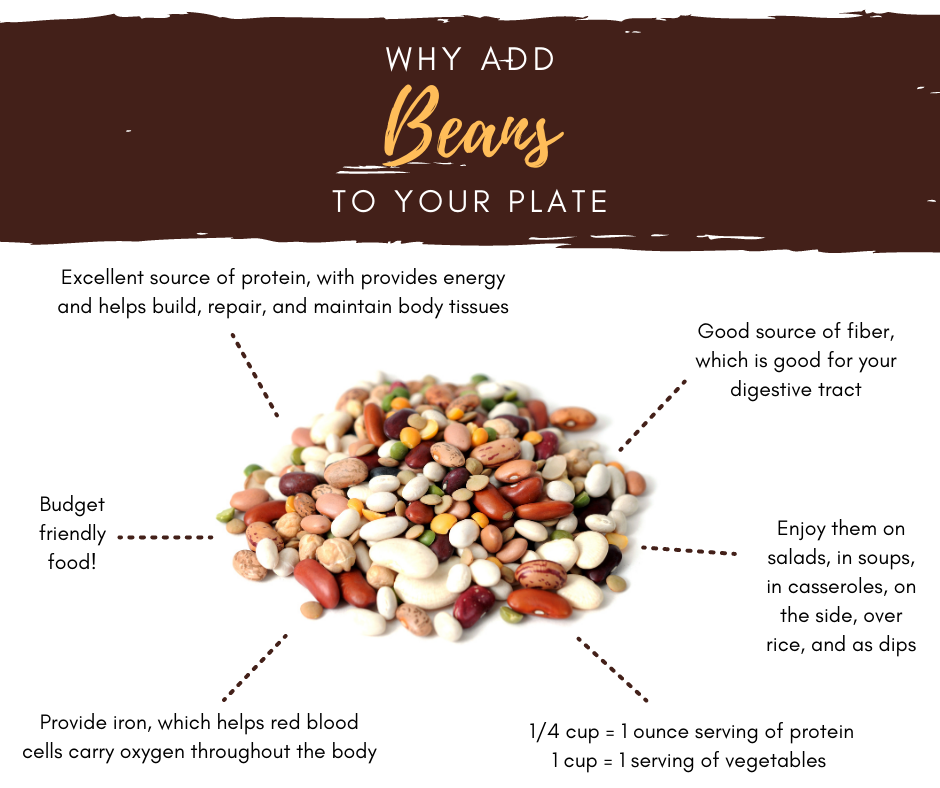 Infographic about beans