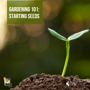 Seedling growing tall from a mound of dirt with Gardening 101: Starting Seeds text overlay.