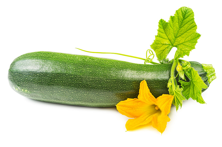 Zucchini squash with blosson