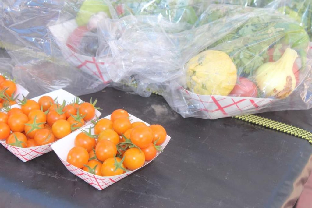 Orange tomatoes in a small paper dish